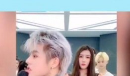 殷世航爆料韩安冉视频,真相背后引人深思